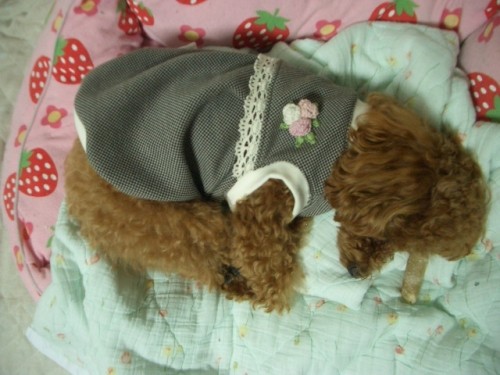 今日も暇～どうするぅ～