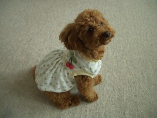 少しは女の子にみえまちか～？