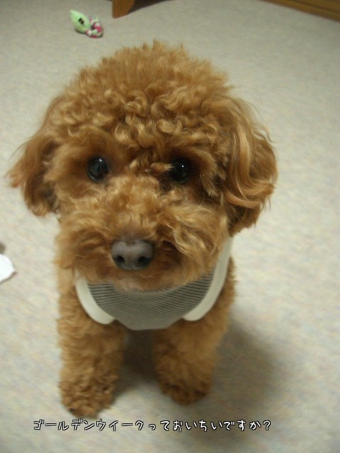 舌出ちゃいました。。