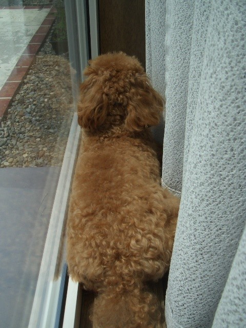 今日はすっぽり～