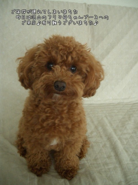 皆様♪ご来店有り難うございました