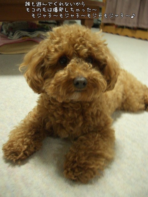 遊んでくれないから～