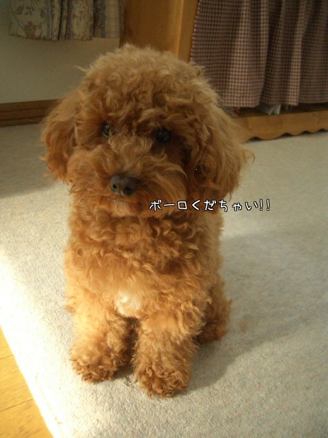 モジャ!!パワーアップ