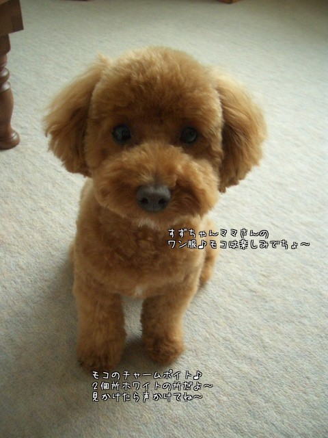 楽しみでちよ～