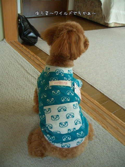 パンダ柄のワン服