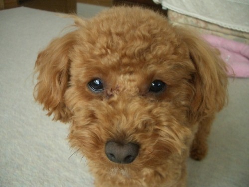 今日は寒いね～