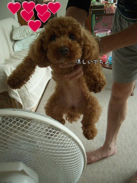 朝散歩の後に・・・