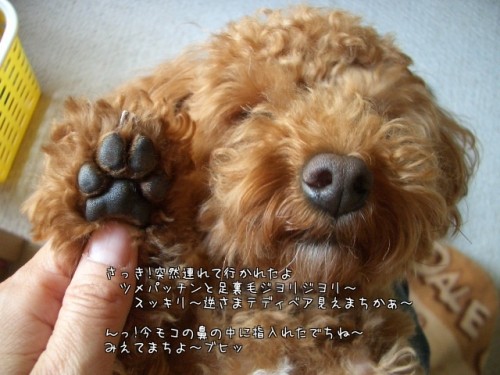 突然!!やられたぁ～