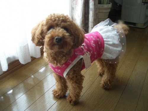 お姫様ワンピ～