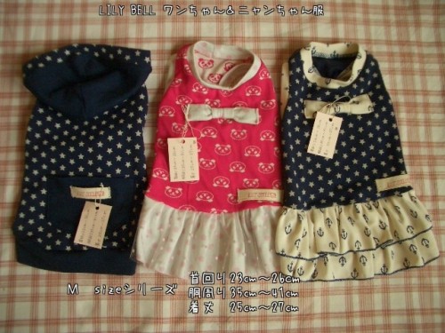 ワン服と昨夜のモコご飯