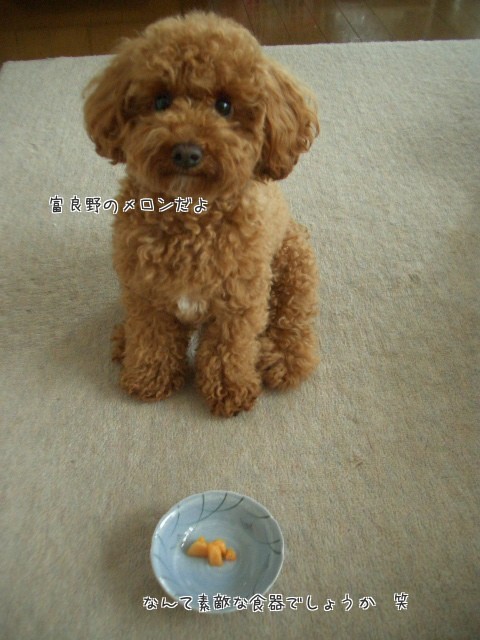 初♪富良野メロンと香ばしいにおい