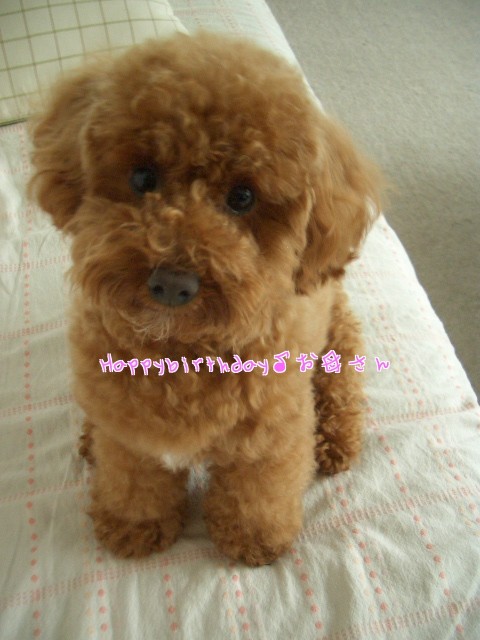 お母さぁ～ん♪