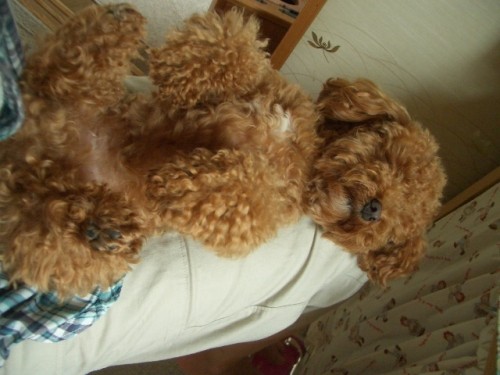 どうにでもしてぇ～そして事件