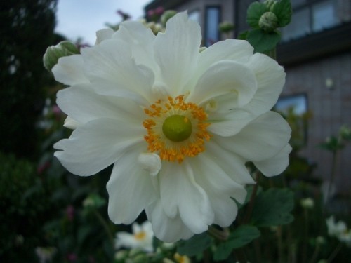 秋ですね～こども王国フリマー出店します