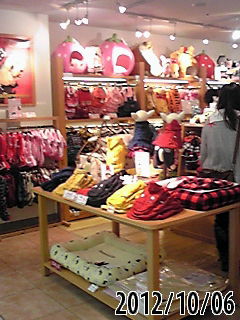 行ってきました～