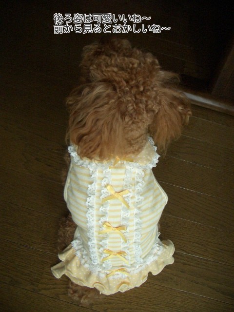 後ろ姿に萌え～