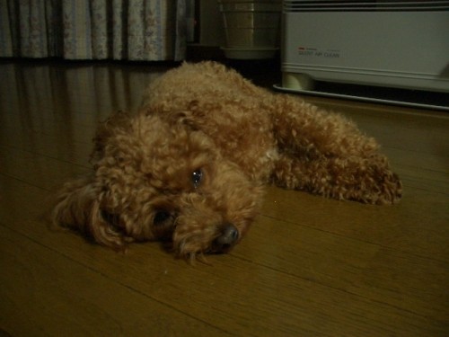 ここも気持ちがいいよ～