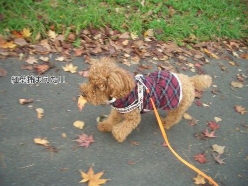 急がなくちゃ～