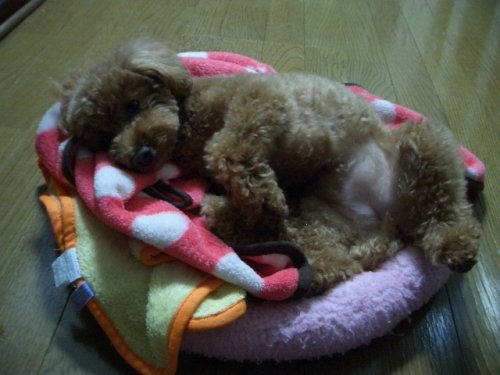 毎日!ぬくぬくの日々