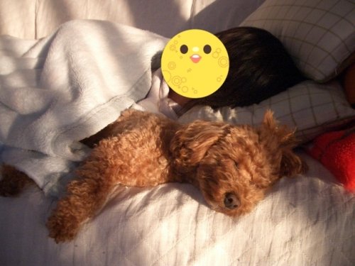 朝日が気持ちがいい~新しく仲間入り