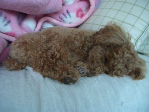 今年も宜しくね