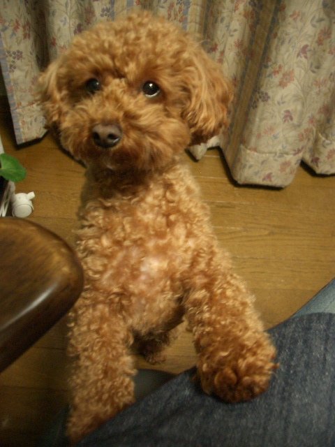 ね~ね~お母さん!!