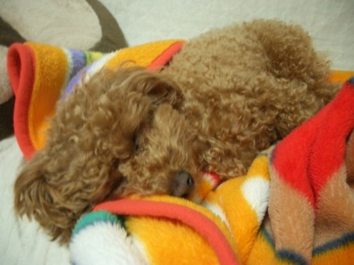 ストーブ・・・