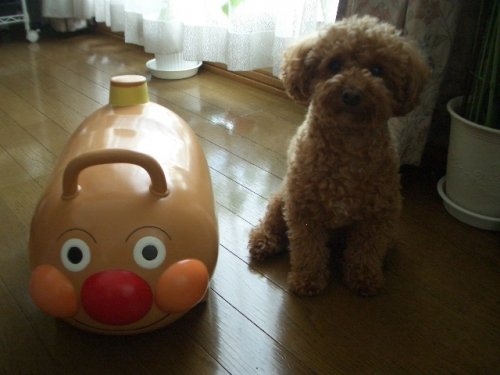 アンパンマン号も・・