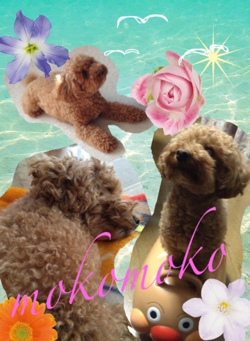 隊長～有難うございました