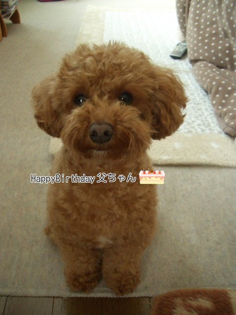 ＨａｐｐｙＢｉｒｔｈｄａｙ父ちゃん