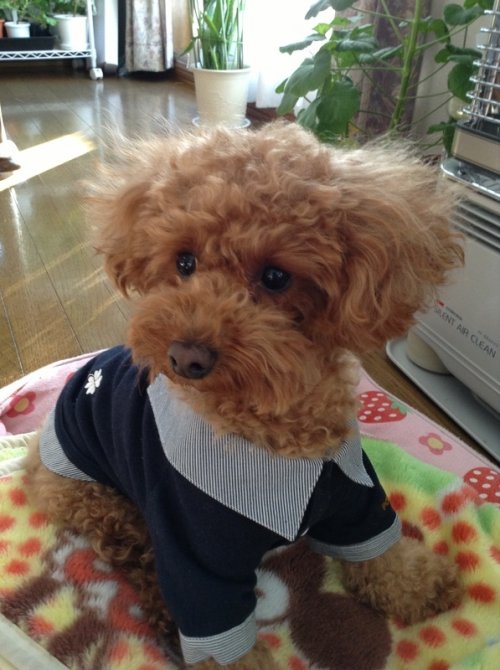 完売御礼～♪ワン友さん大集合～