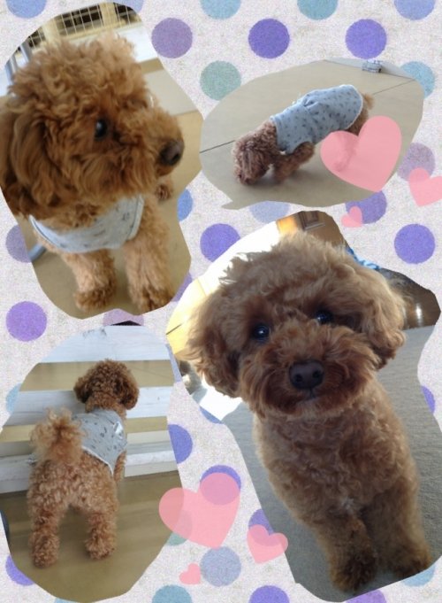 ２月３日急遽!出没致します