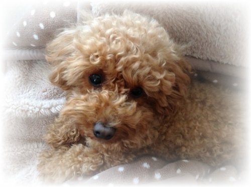 考える時間・・