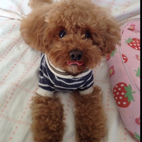 あっかんべ～♪