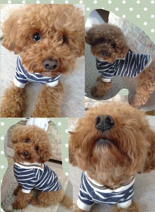 あと・・約半月も・・