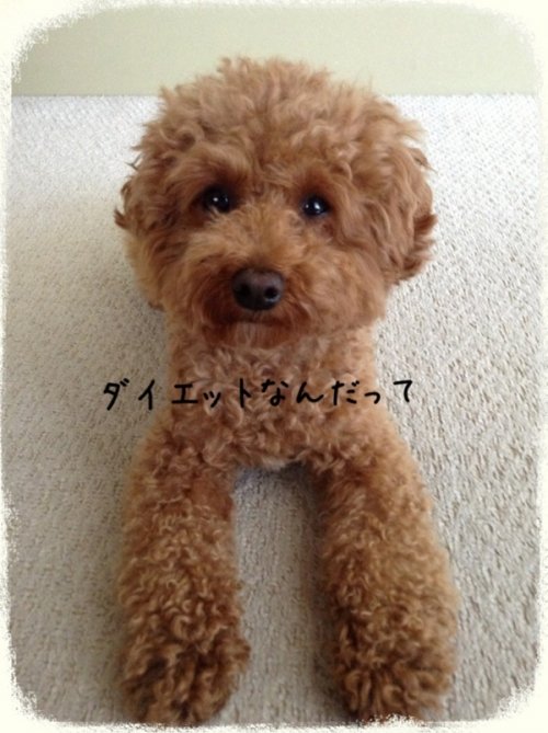ヤバイヤバイ!!