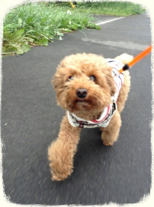 今日は公園で休憩～