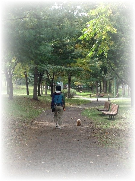 森林浴でリフレッシュ♪