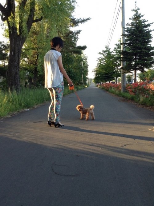 早く帰りましょ