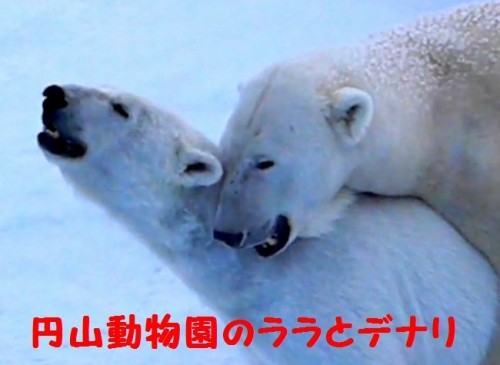 フローズン・プラネット第一回