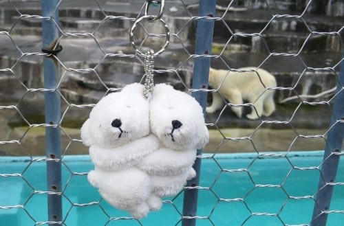浜松市動物園への長い道のり