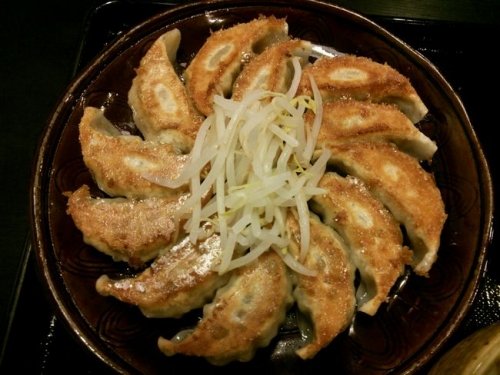 旅の準備と浜松餃子