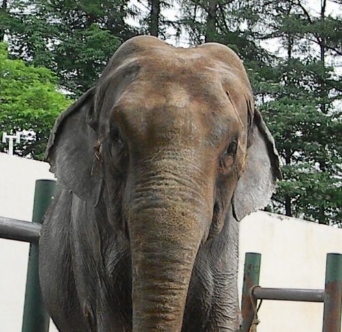 ナナさまどうか、お鎮まりを