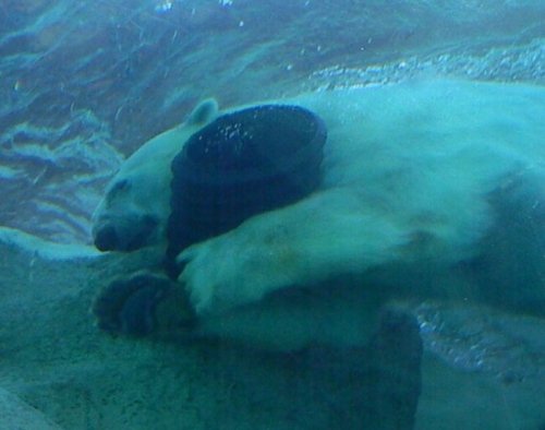 日本平動物園