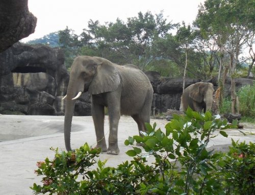 台北旅行3日目その2