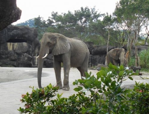 台北旅行３日目その2