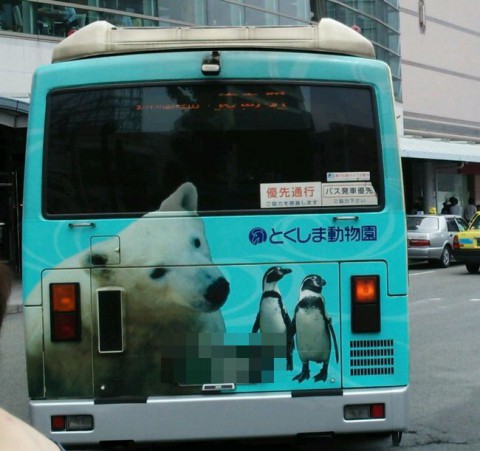 6月14日のとくしま動物園の仲間たち