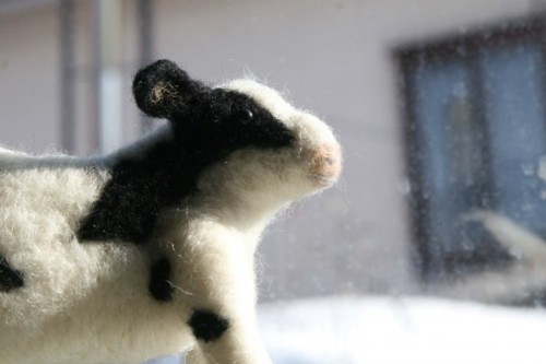 モウ、モウさん。カフェにて