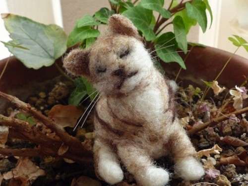 子猫とシマフクロウと落書きと・・・