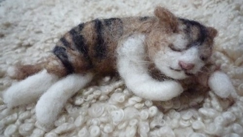 にゃんこ　いっぱい～　＾。＾